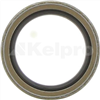 Oil Seal