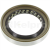 Oil Seal