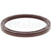 Oil Seal