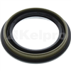 Oil Seal