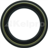 Oil Seal