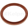 Oil Seal