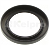 Oil Seal