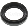 Oil Seal