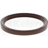 Oil Seal