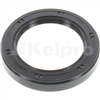 Oil Seal