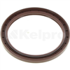 Oil Seal