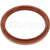 Oil Seal