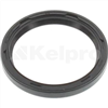 Oil Seal