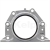 Oil Seal