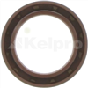 Oil Seal