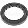 Oil Seal