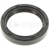 Oil Seal