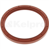 Oil Seal