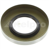 Oil Seal