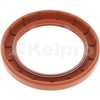 Oil Seal