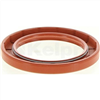 Oil Seal