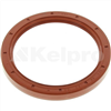 Oil Seal