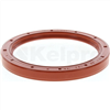 Oil Seal