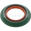 Oil Seal