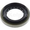 Oil Seal