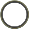 Oil Seal