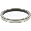 Oil Seal