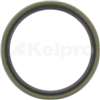 Oil Seal