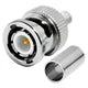 AXIS BNC CRIMP PLUG FOR RG58 BNC1