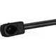 Proselect Gas Strut PSGS14376