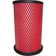Repco Air Filter RAF202