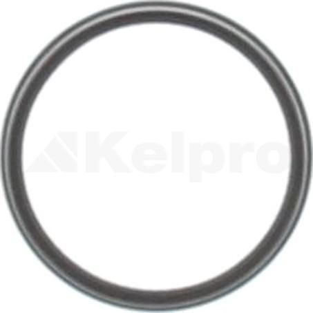 KELPRO Oil Seal