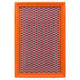 Repco Air Filter RAF422