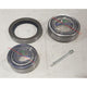 SAS AUTO PARTS WHEEL BEARING KIT PFI-PWK0826
