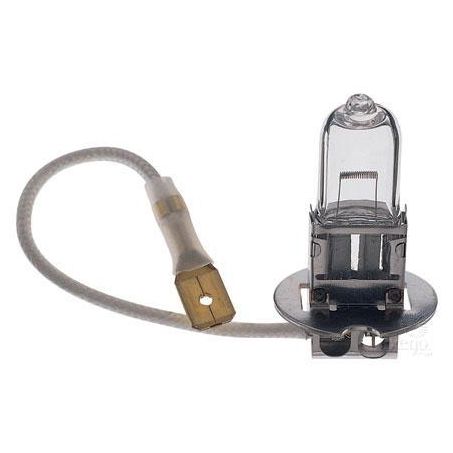 Hella H3 Globe Pk22S Truckstar 24V 70W YC2470TSBULK