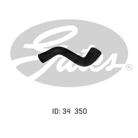 Gates Radiator Hose Lower 05-0388