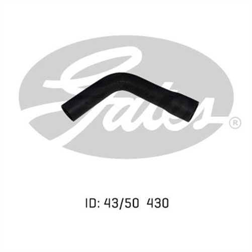 Gates LOWER  HOSE - FORD 302 V8 16V 74-89
