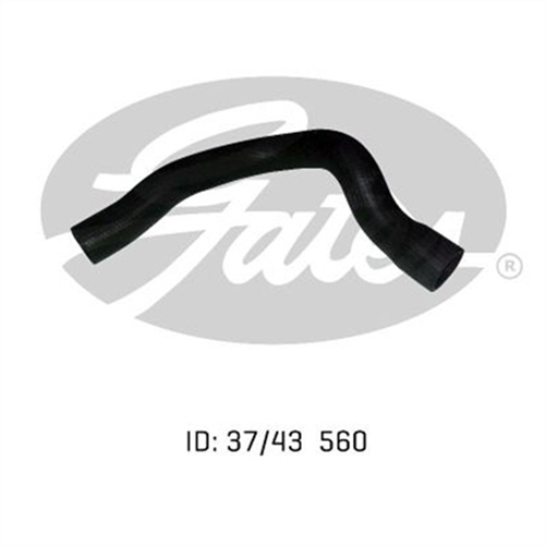 GATES RADIATOR HOSE LOWER 05-0499