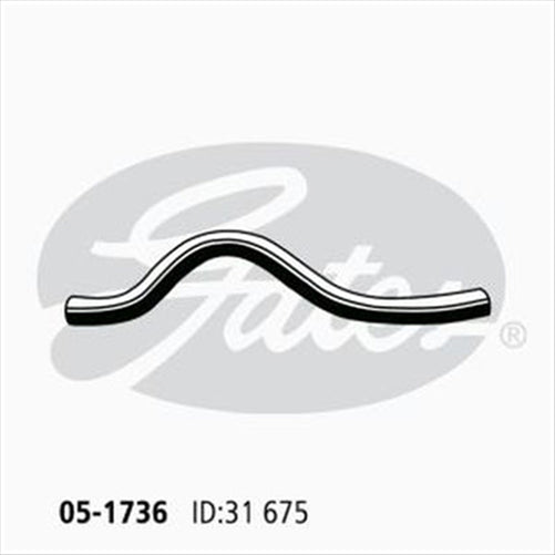 GATES RADIATOR HOSE LOWER 051736