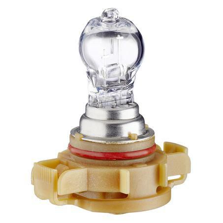 Hella PS19W Halogen Bulb 12V 19W 8GA 223 569-021
