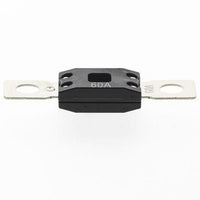 OEX Mega Fuse 60A 1 Pce