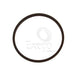 DRIVETECH PTFE RING (TRW R&P) RACK PISTON GR-37501