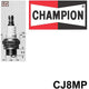 Champion Small Engine Spark Plug CJ8MP