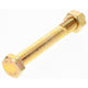 CHAMPION AUTO PARTS Champion Nut & Bolt Pack M12 x 100 BM135