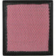 Repco Air Filter RAF621