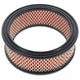 Repco Air Filter RAF493