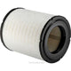 Ryco Fire Guardian Air Filter A1377FG