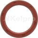 Kelpro Oil Seal 98166