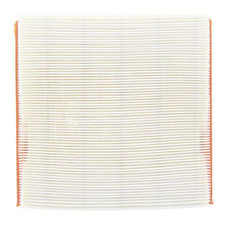 Repco Air Filter RAF623