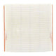 Repco Air Filter RAF623
